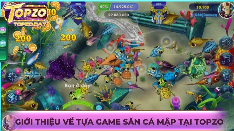 Săn cá mập Topzo – Trải nghiệm săn boss cá thưởng lớn 1 Giới thiệu tổng quan về trò chơi Săn cá mập tại Topzo