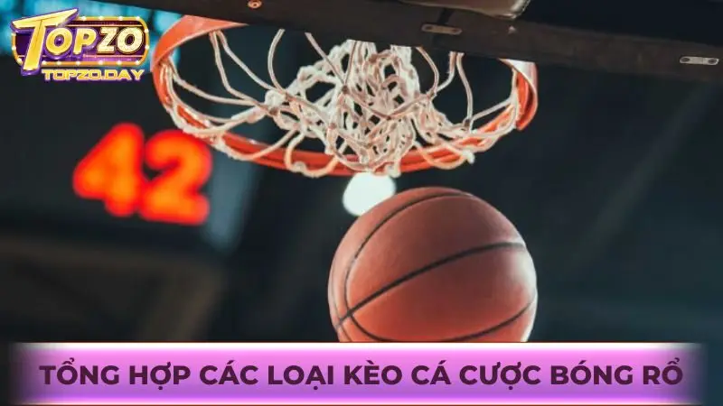 Trải nghiệm Cá cược bóng rổ hấp dẫn tại cổng game Topzo 2 Tìm hiểu và nắm rõ các thể loại kèo cược chơi bóng rổ online